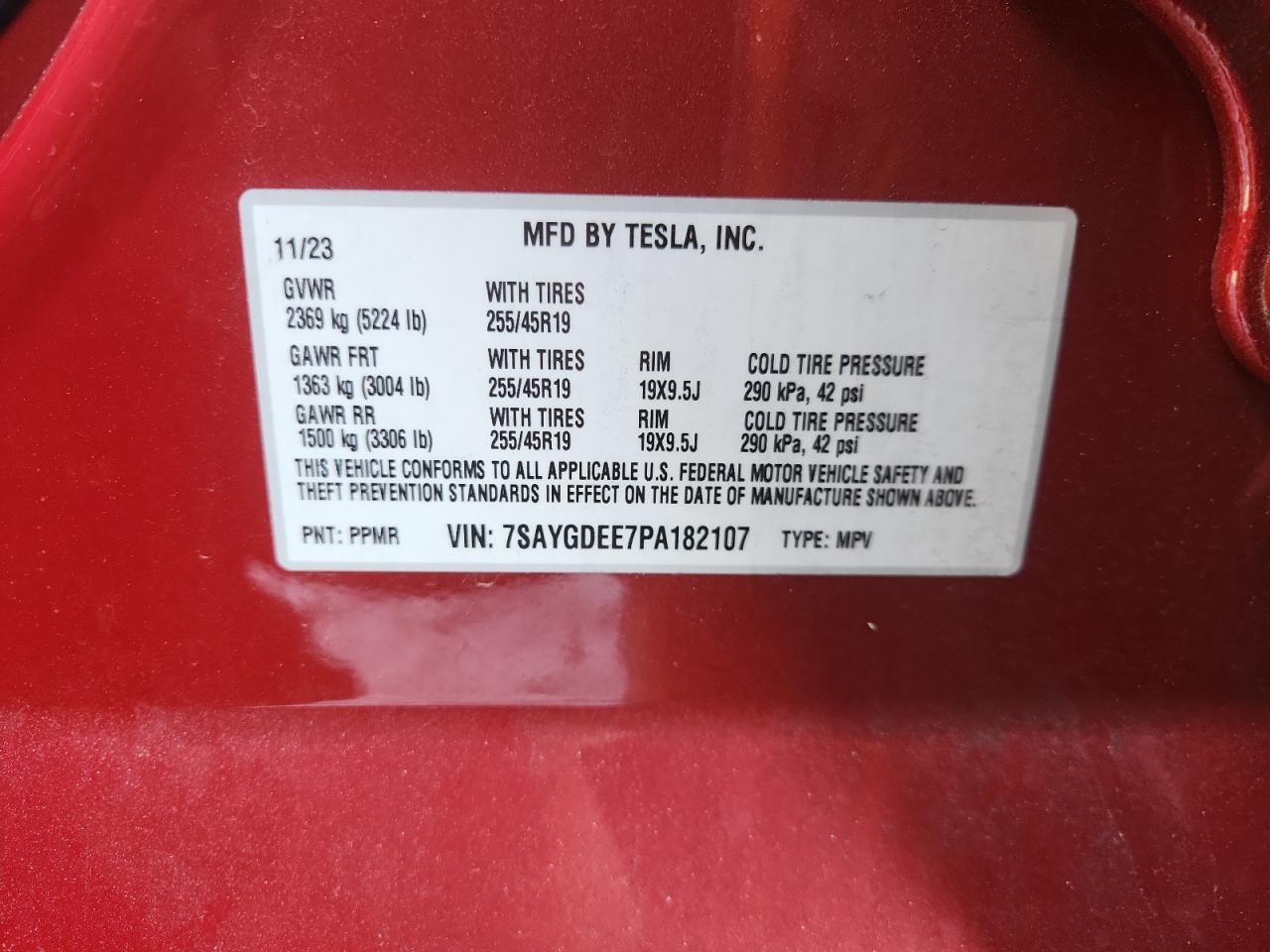 TESLA MODEL Y