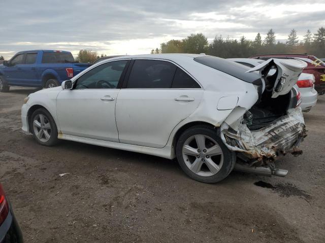 2010 TOYOTA CAMRY BASE - 4T1BF3EK9AU506970