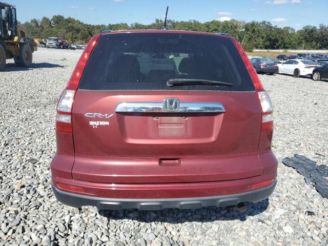 2010 HONDA CR-V EXL - JHLRE3H71AC007084