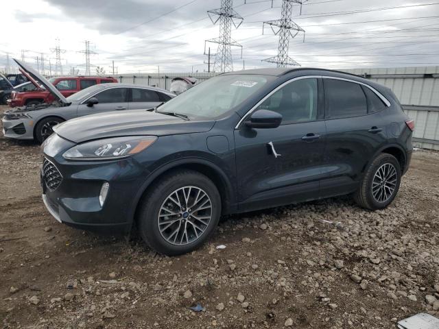 Global Auto Auctions: 2022 FORD ESCAPE SEL
