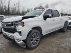 Lot #3303731443 2025 CHEVROLET SILVERADO
