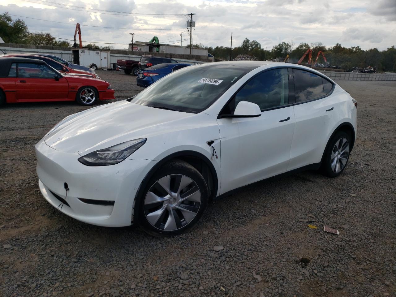 TESLA MODEL Y