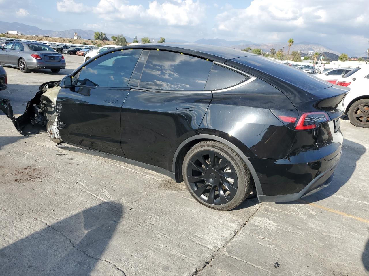 Lot #3309605567 2021 TESLA MODEL Y