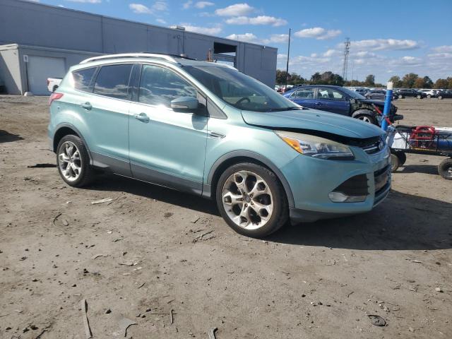 2013 FORD ESCAPE TIT - 1FMCU0J93DUA29016