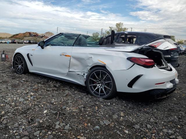 2025 MERCEDES-BENZ CLE AMG 53 #3302646197