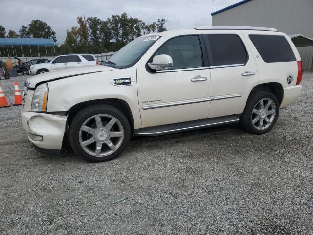 CADILLAC ESCALADE H