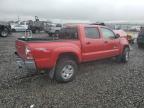 Lot #3292691589 2010 TOYOTA TACOMA DOU