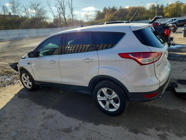 2014 FORD ESCAPE SE - 1FMCU9GX6EUD41097