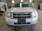 Lot #3303736425 2009 FORD ESCAPE XLT