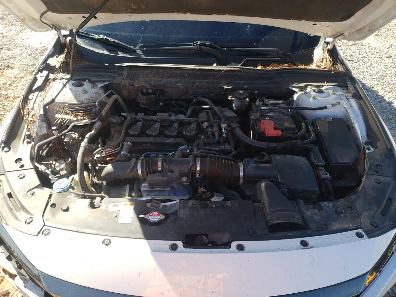 HONDA ACCORD SPORT SE