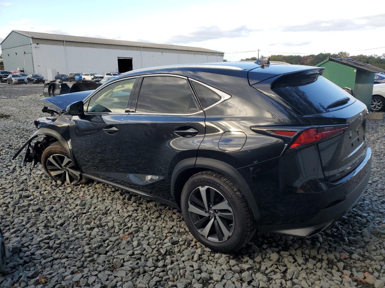 LEXUS NX 300