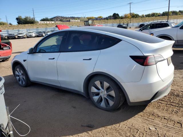 2023 TESLA MODEL Y #3294813749