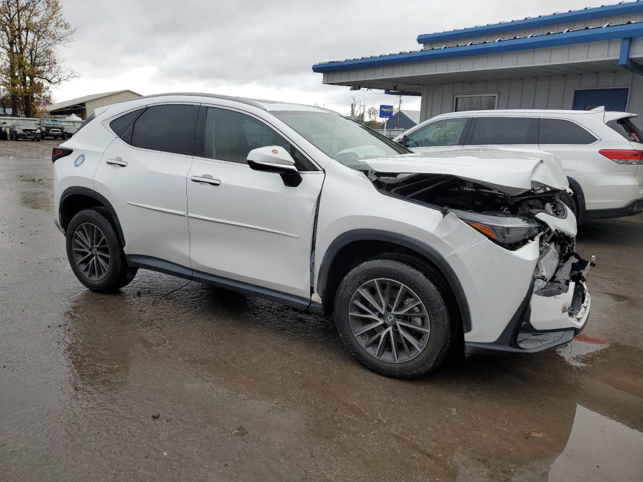 LEXUS NX 350