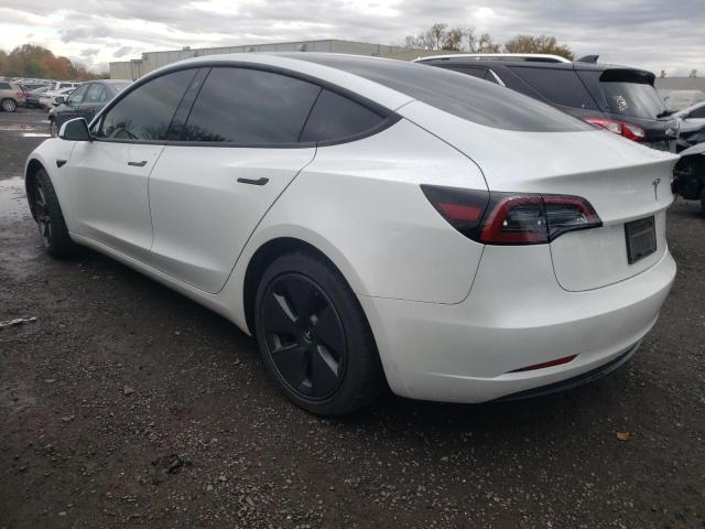 2023 TESLA MODEL 3 - 5YJ3E1EB6PF596645