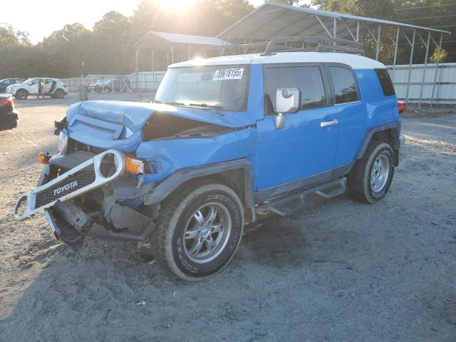Global Auto Auctions: 2007 TOYOTA FJ CRUISER