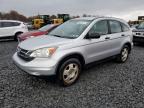 Lot #3303804422 2011 HONDA CR-V LX