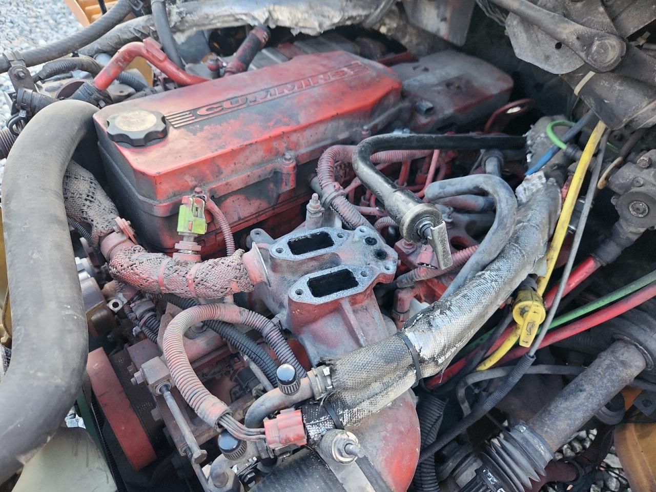 Lot #3287412363 2009 THOMABUSES SAF-T-LINER C2