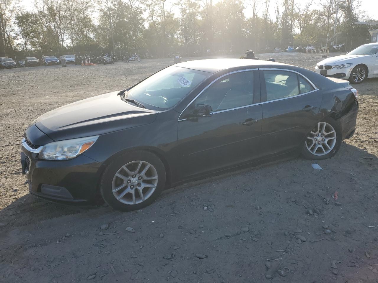 CHEVROLET MALIBU 1LT