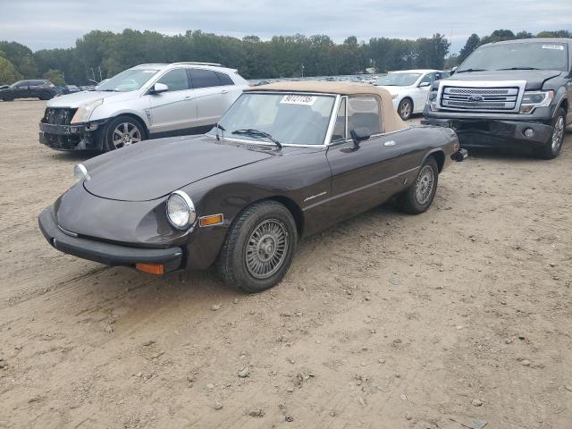 Global Auto Auctions: 1980 ALFA ROMEO SPIDER VEL