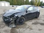 Lot #3302963639 2024 TESLA MODEL Y