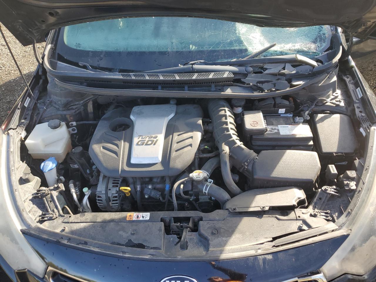 Lot #3317076981 2015 KIA FORTE SX