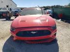 Lot #3297962816 2019 FORD MUSTANG