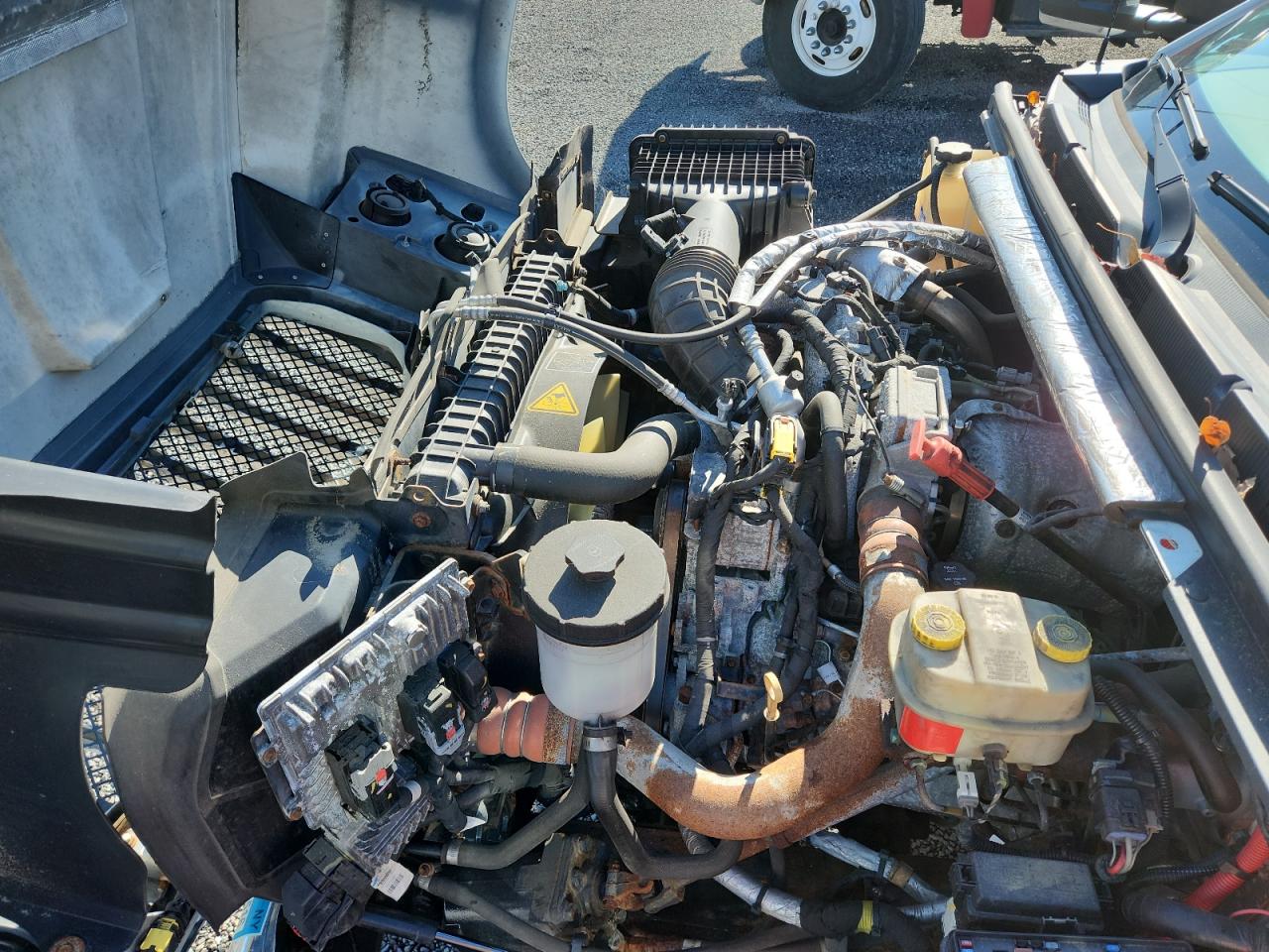 Lot #3285513300 2019 INTERNATIONAL CV515