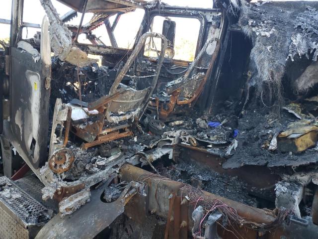 2019 PETERBILT 389 #3290297242