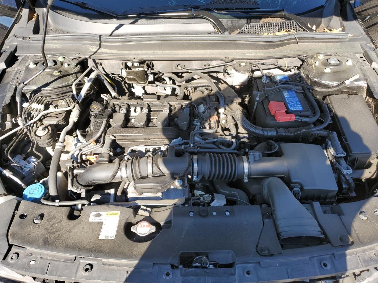 HONDA ACCORD SPORT SE