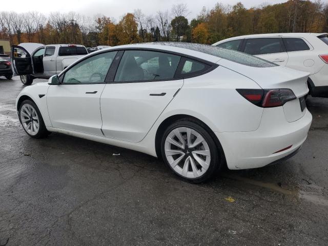 2023 TESLA MODEL 3 #3315884085