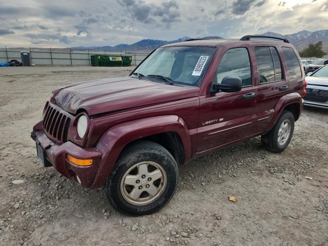 JEEP LIBERTY LI