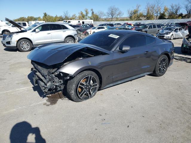 Global Auto Auctions: 2019 FORD MUSTANG