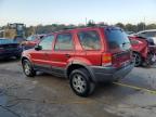 Lot #3303930717 2004 FORD ESCAPE XLT
