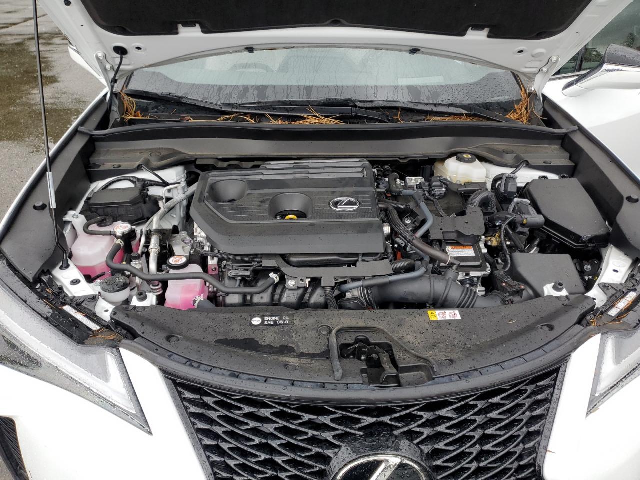 LEXUS UX 300H BASE