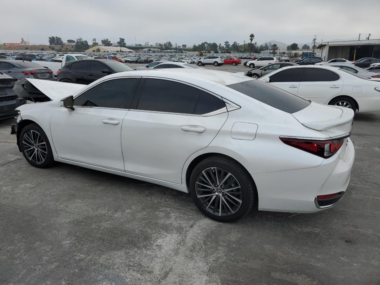 LEXUS ES 300H BASE