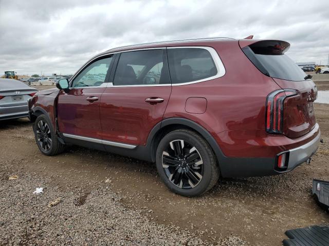 2023 KIA TELLURIDE - 5XYP5DGC5PG382294