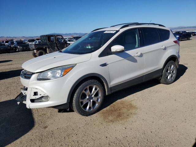 Global Auto Auctions: 2013 FORD ESCAPE SEL