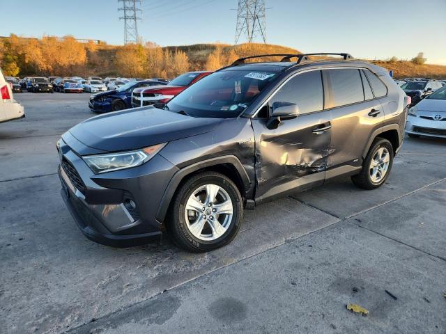 Global Auto Auctions: 2019 TOYOTA RAV4 XLE