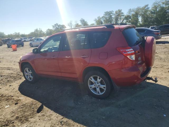 2012 TOYOTA RAV4 - 2T3BF4DV6CW206900