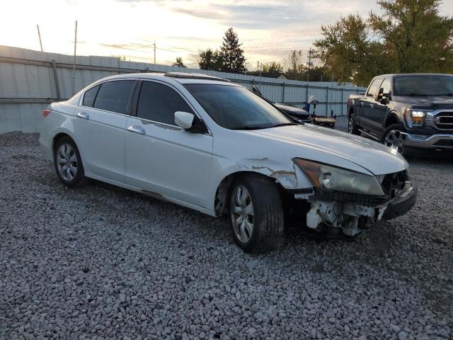2010 HONDA ACCORD EXL - 5KBCP3F89AB012286
