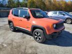 Lot #3311461374 2019 JEEP RENEGADE TRAILHAWK