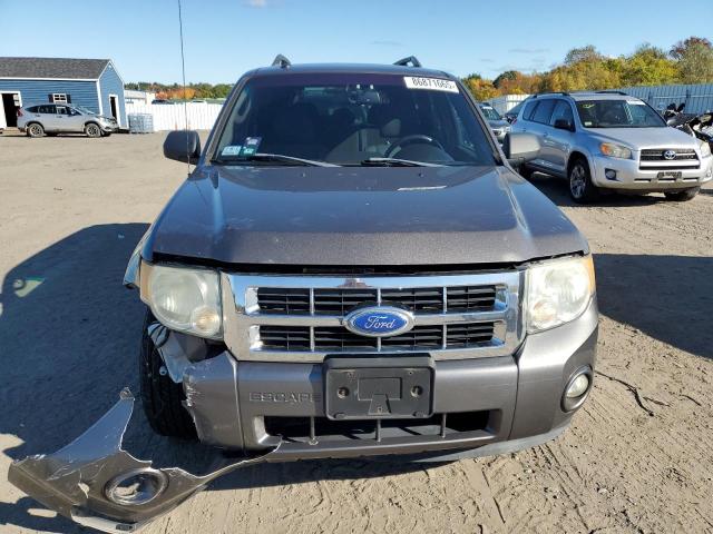 2011 FORD ESCAPE XLT - 1FMCU9D75BKB92063