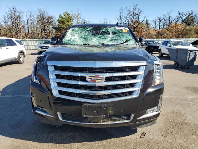 2020 CADILLAC ESCALADE P - 1GYS4CKJ0LR239367
