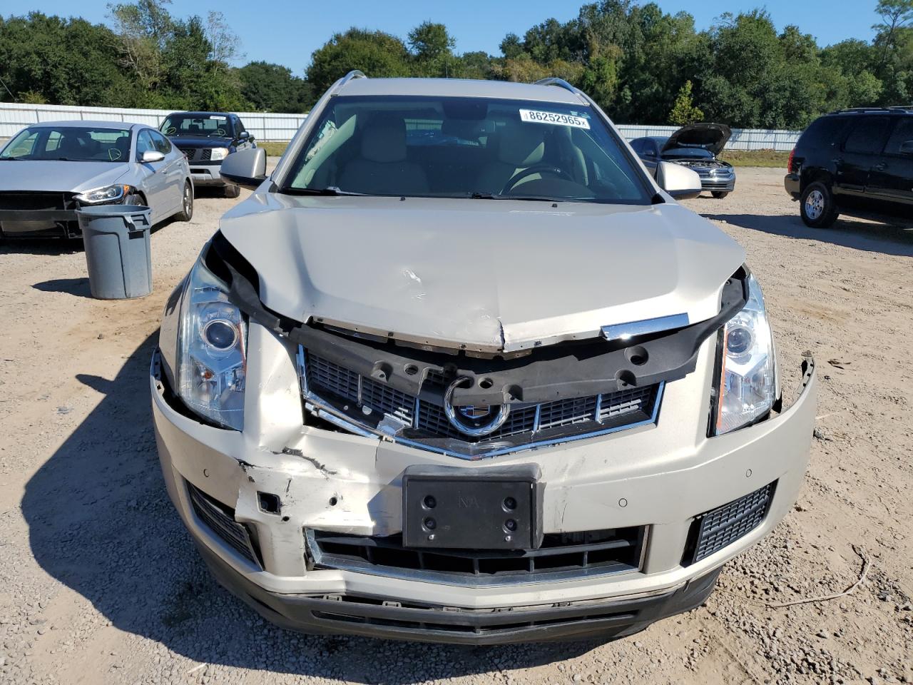 Global Auto Auctions