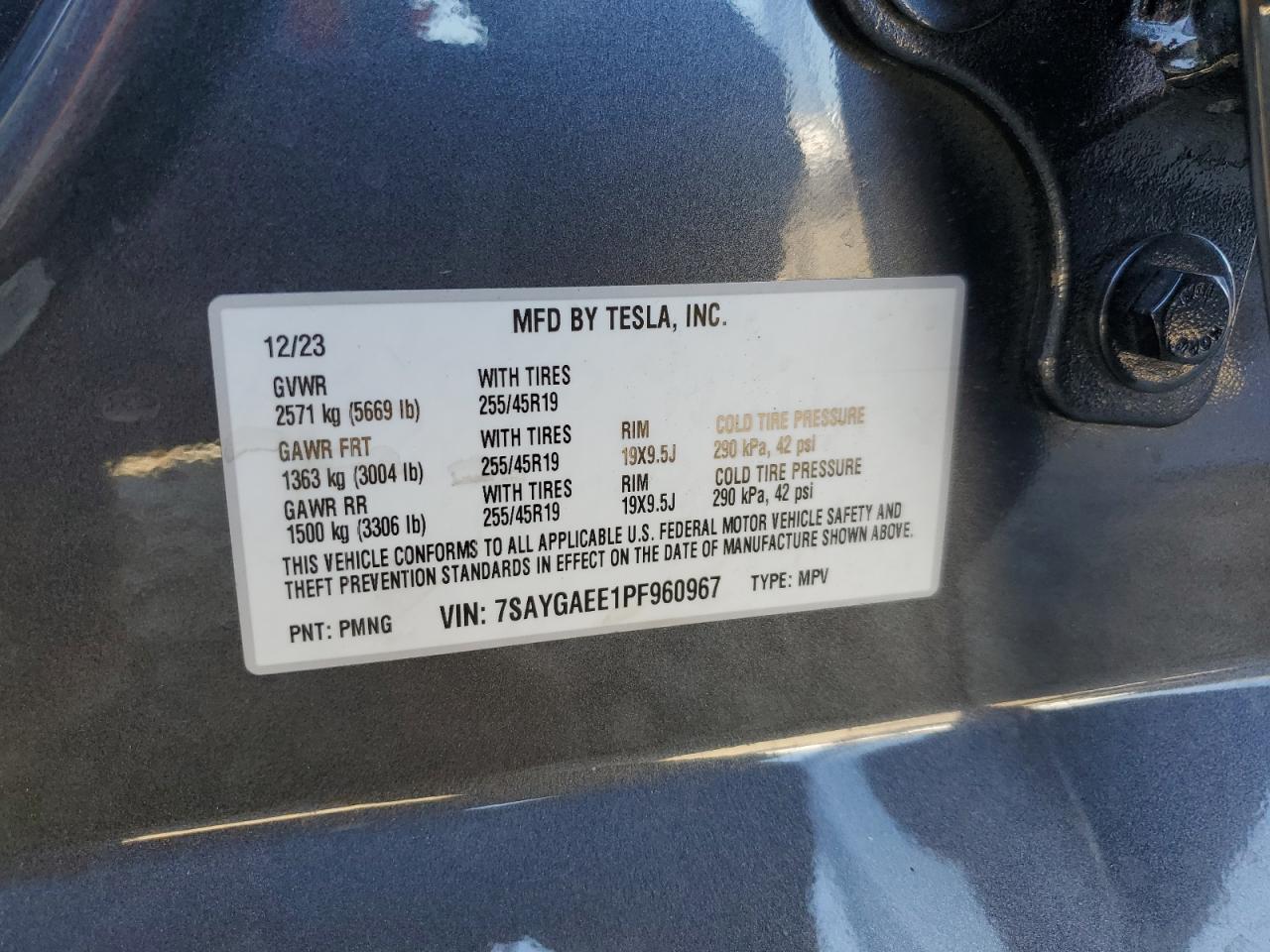 TESLA MODEL Y