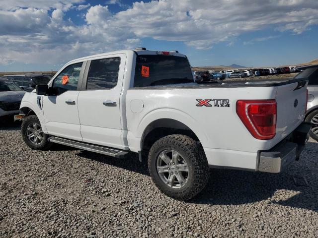 2022 FORD F150 SUPERCREW - 1FTFW1E89NFB44082