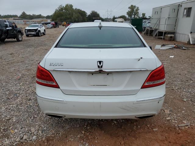 2013 HYUNDAI EQUUS SIGN - KMHGH4JH6DU058028