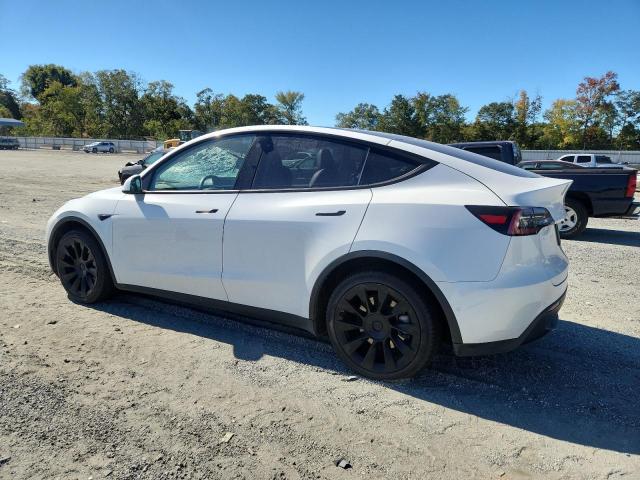2021 TESLA MODEL Y #3281635399