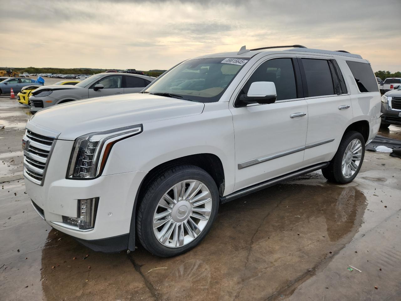 Lot #3305449084 2017 CADILLAC ESCALADE P