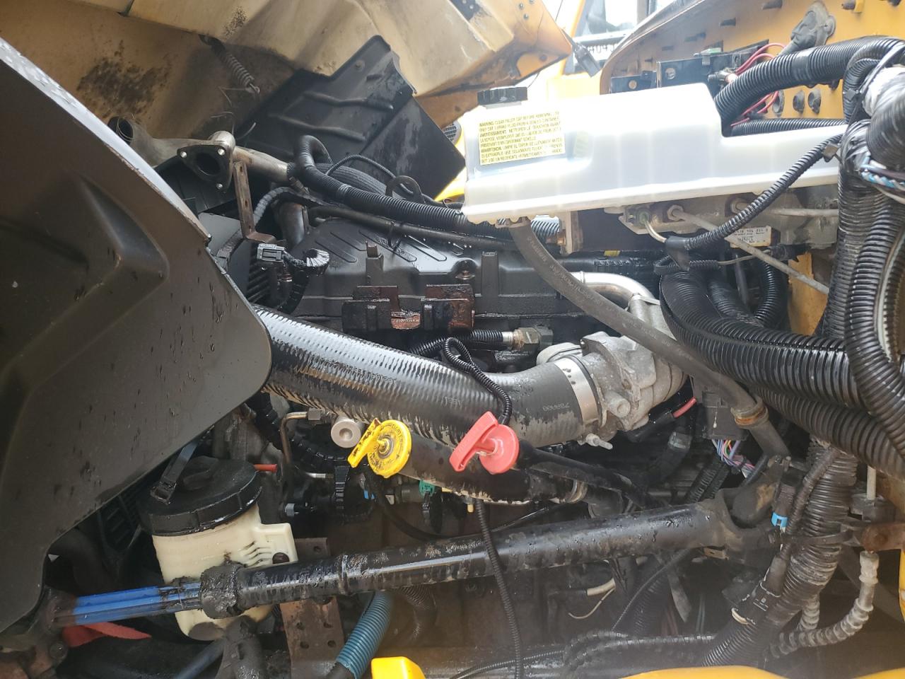 Lot #3273768364 2011 IC CORPORATION CE SERIES SCHOOL